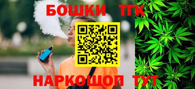 индика Вязьма