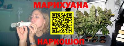 индика Вязьма