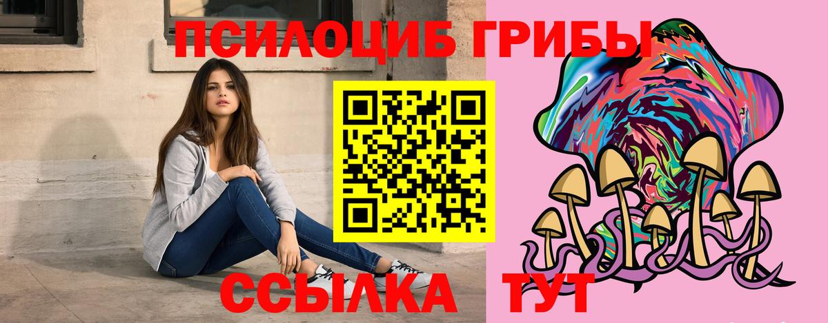 Галлюциногенные грибы Psilocybine cubensis  Галлюциногенные грибы Cubensis  Вход с VPN  Каменск-Уральский 