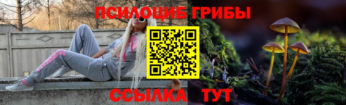 Галлюциногенные грибы Psilocybine cubensis Каменск-Уральский